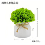 plante artificielle feuilles pointues vert clair moderne ruban jute décoration intérieure maison salon ornementalité
