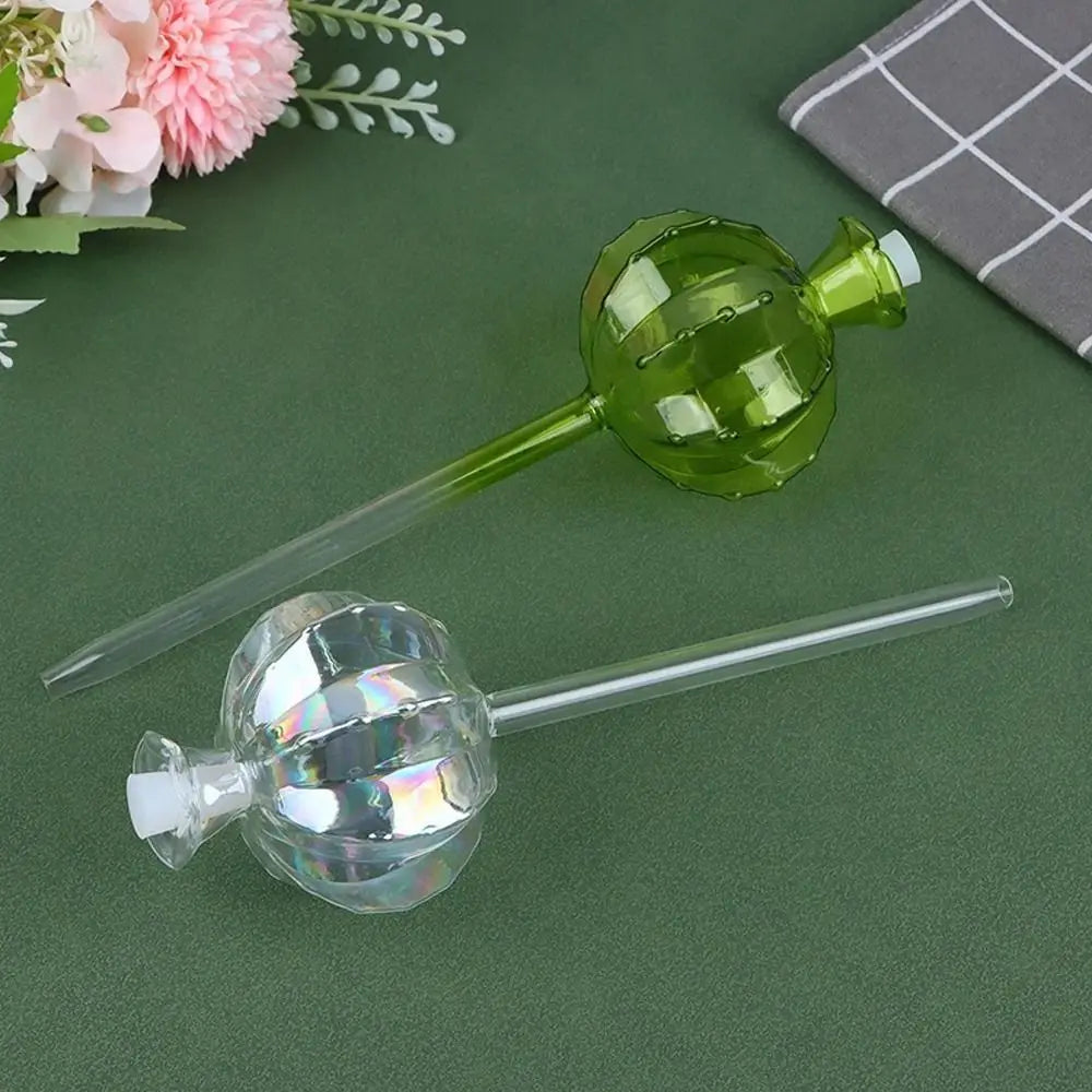 arrosage automatique verre transparent plantes intérieur moderne cactus fleuri décoration florale autonomie pompes tubulaires