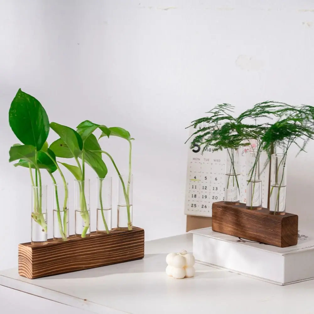 support plante bois transparent verre tubes test minimaliste deco moderne