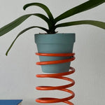 support plante moderne spirale adhésif pots plante vert bleu orange jaune