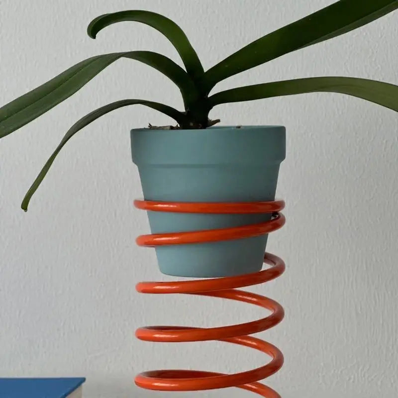 support plante moderne spirale adhésif pots plante vert bleu orange jaune