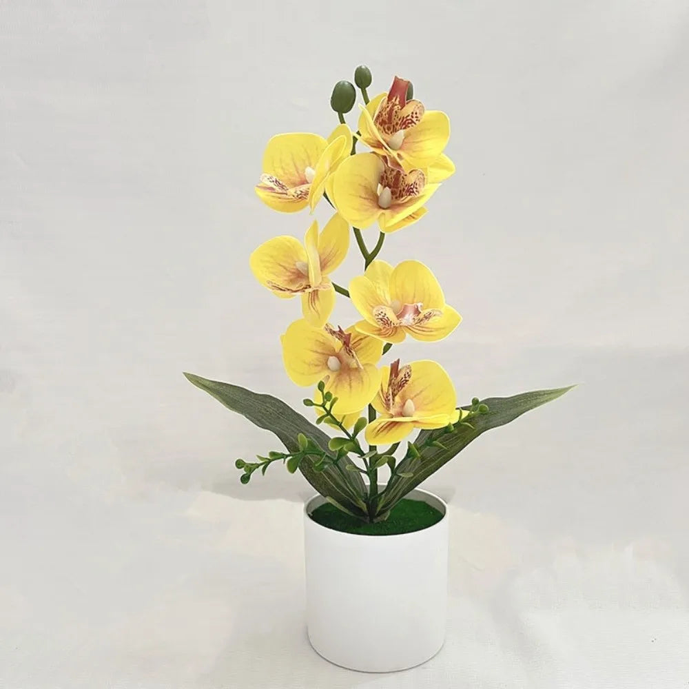 Orchidée artificielle rose pot blanc fleurs blanches intérieur décoration moderne salon événement