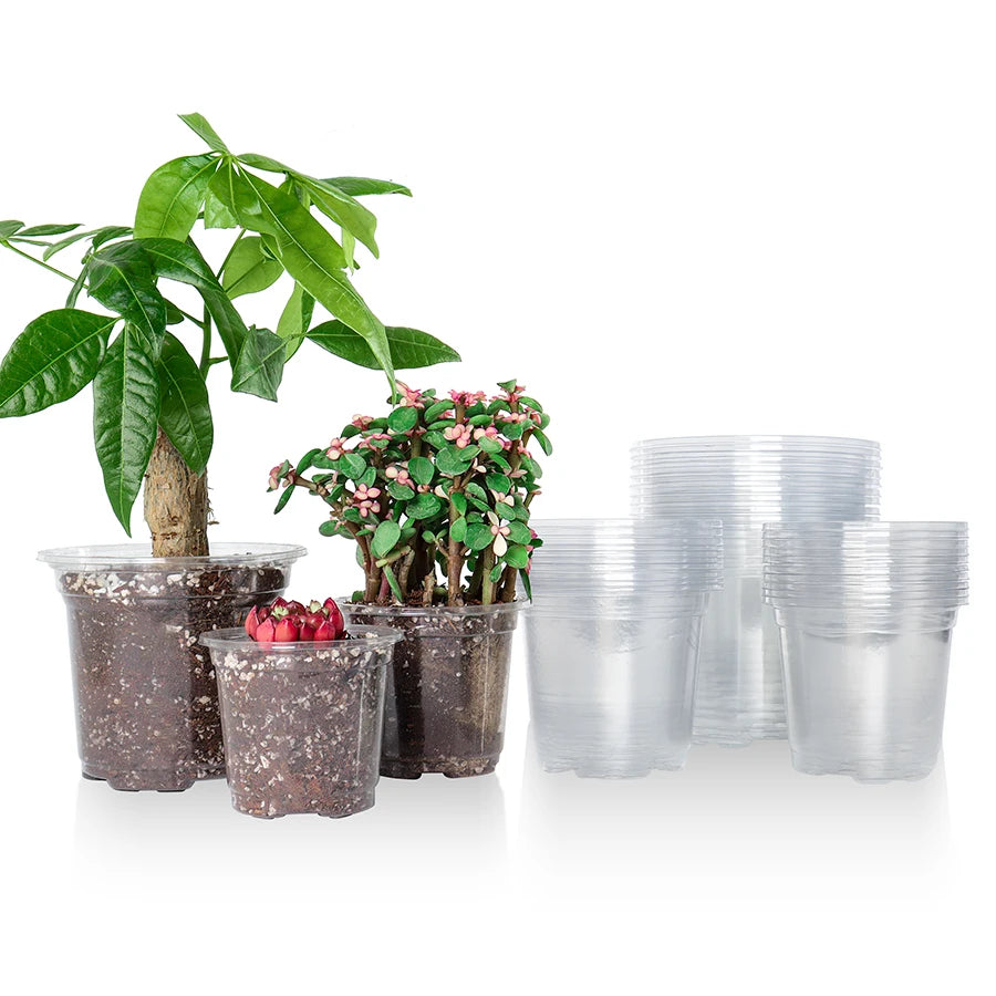 pots fleurs transparents plastique moderne drainage plantes semis jardinière pots divers tailles