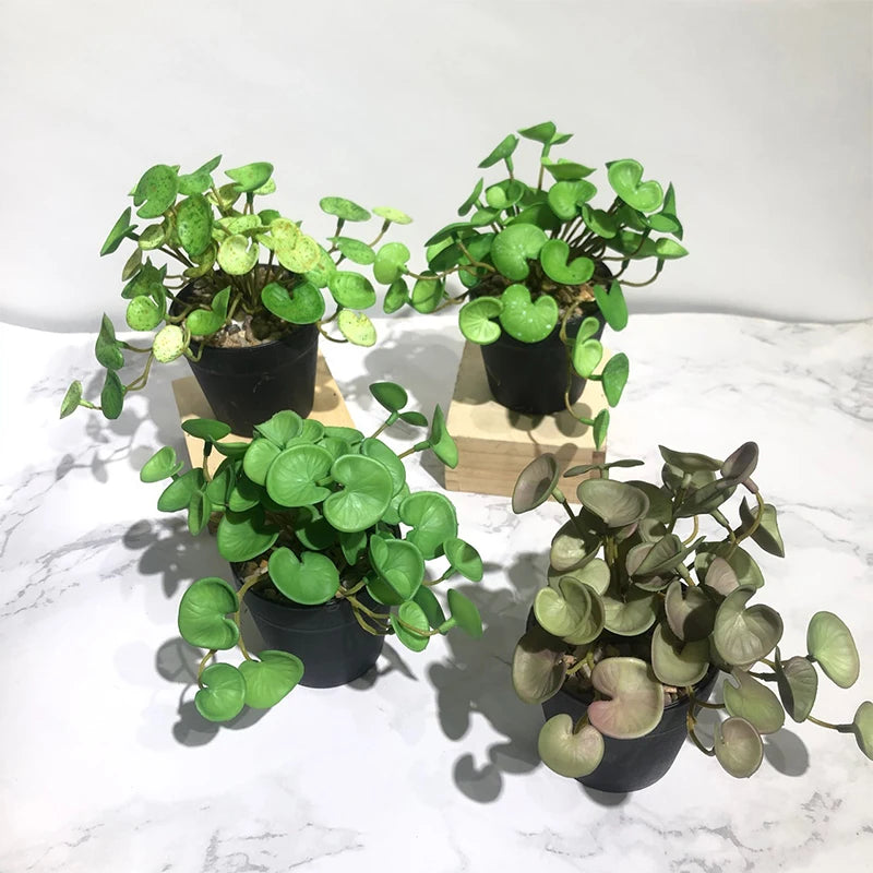 plante artificielle verte feuilles rondes pot noir décoration maison jardin intérieur moderne