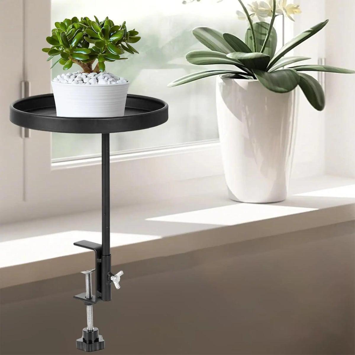 support mural plantes clips plateau moderneintérieur étagère plante fixations noires minimalisteplatines