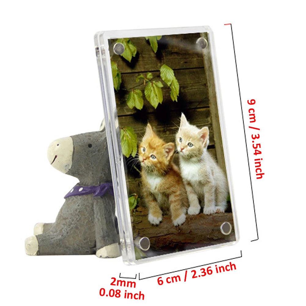 cadre photo magnétique transparent animaux moderne pack instax film instantané