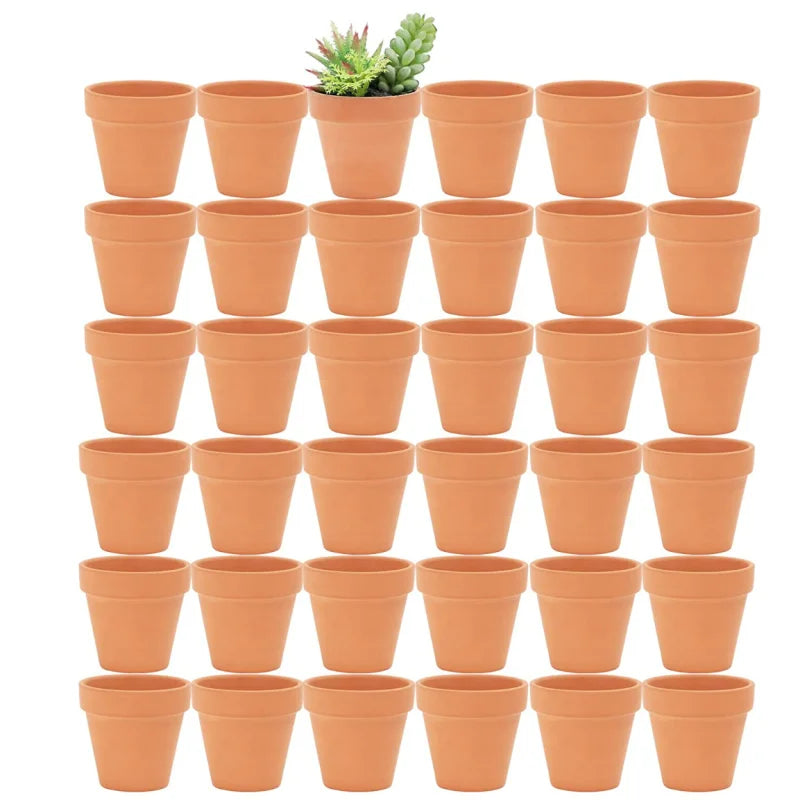 jardinière terracotta pots succulentes plantes herbes aromatiques fleurs décoratives rustic minimalist