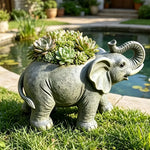 pot fleurs forme éléphant gris texture éléphant plantes fleurs vert rose rouge jaune blanc