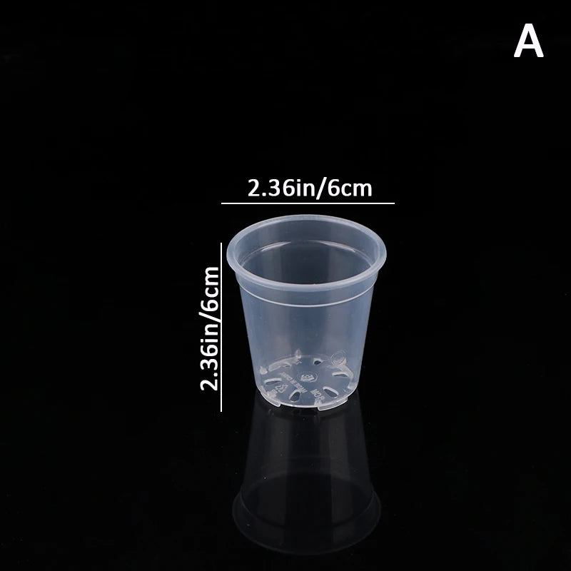 pots semis transparents modernes perforations fond bacs pépinière fleurs plantes vertes