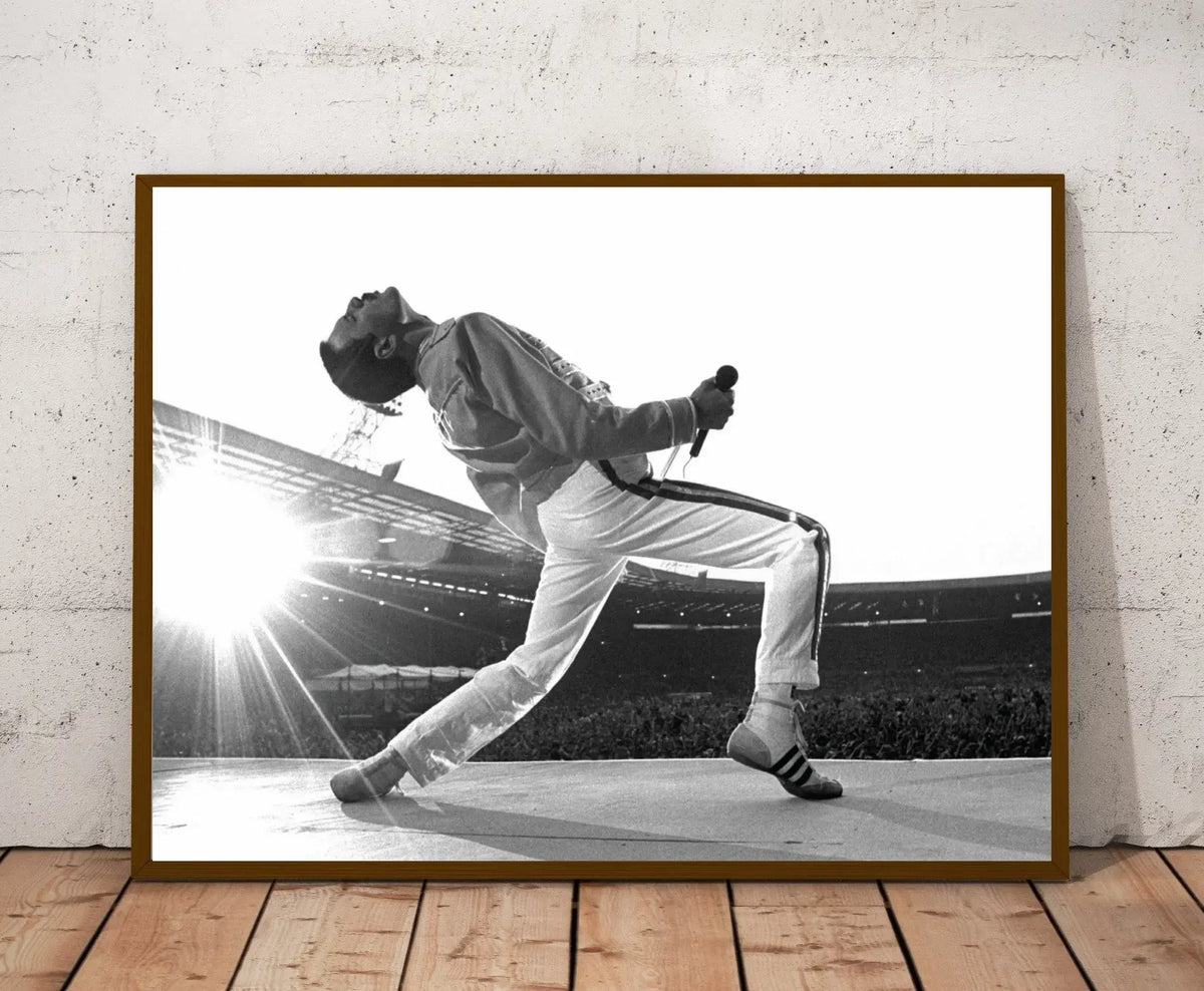 affiche encadrée freddie mercury noir blanc classique photo dynamique personnage cadre bois chambre salon