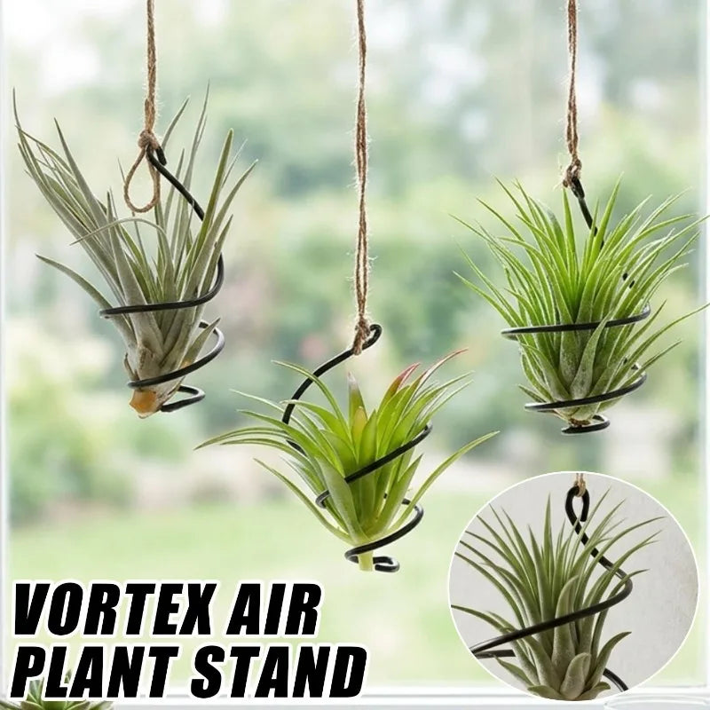 support plante aérienne tillandsia spirale métal corde jute décor jardin intérieur noir vert rouge