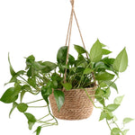 panier suspendu tissé fibres naturelles beige gris vert rustique boho chic cordelette plante verteintérieurextérieurDecorationMaison