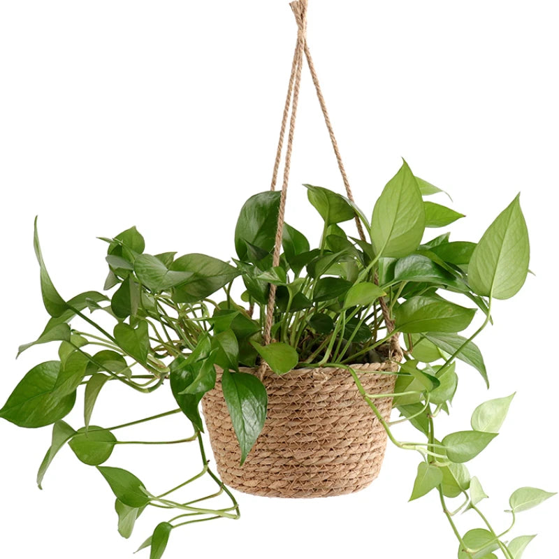 panier suspendu tissé fibres naturelles beige gris vert rustique boho chic cordelette plante verteintérieurextérieurDecorationMaison