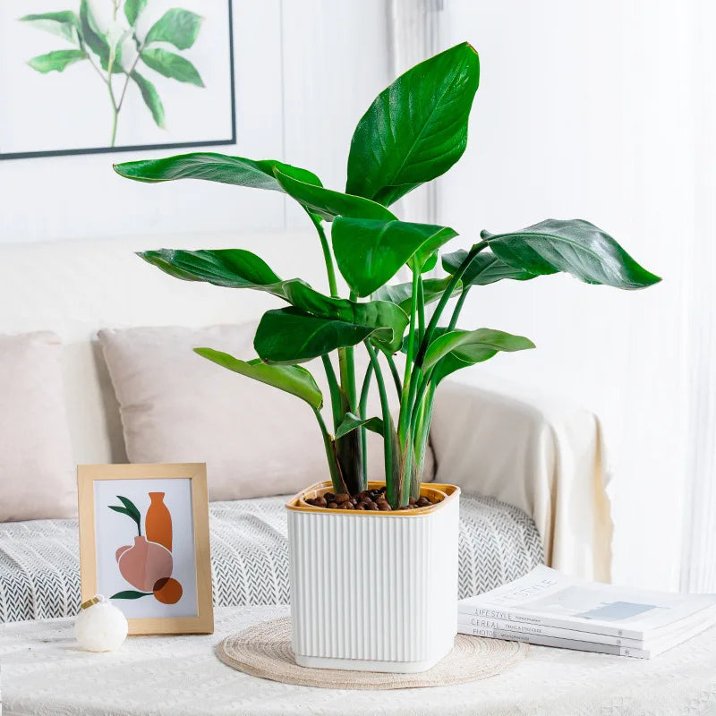 pots carrés auto arrosage plante verte intérieur balcon nordique rayures verticales plastique épaisseau