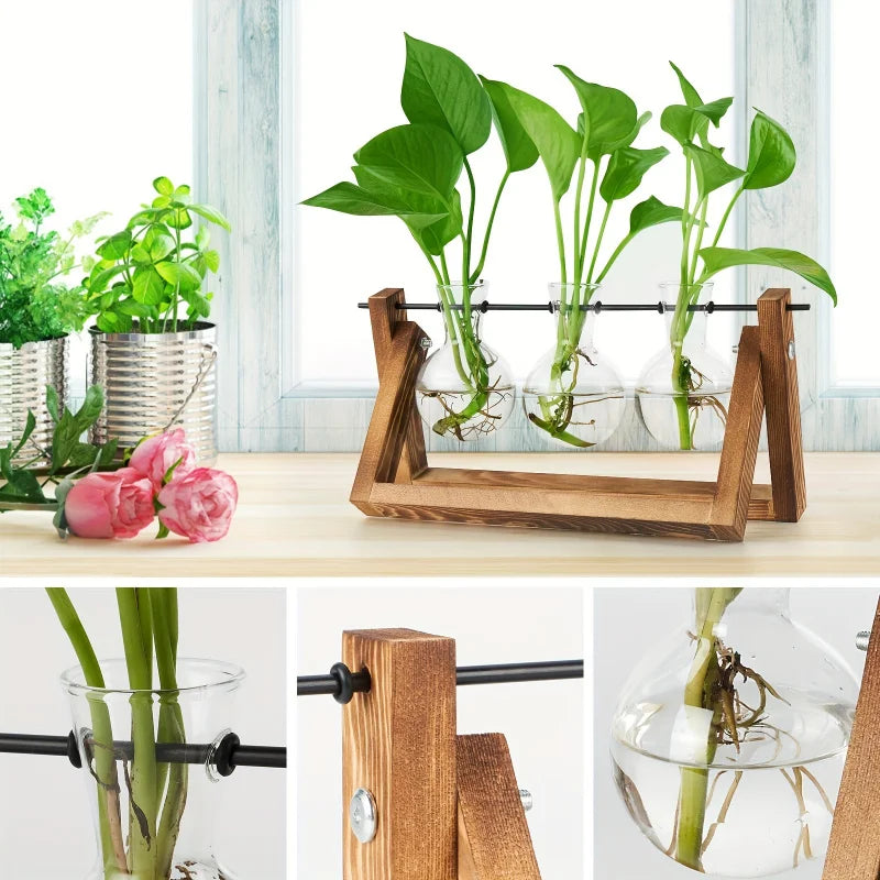 Support plantes verre transparent bois moderne bouteilles clips métalliques vase décoration maison