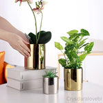 cache pot céramique finition or moderne plante verte décoration intérieure brillance lisse minimaliste maison