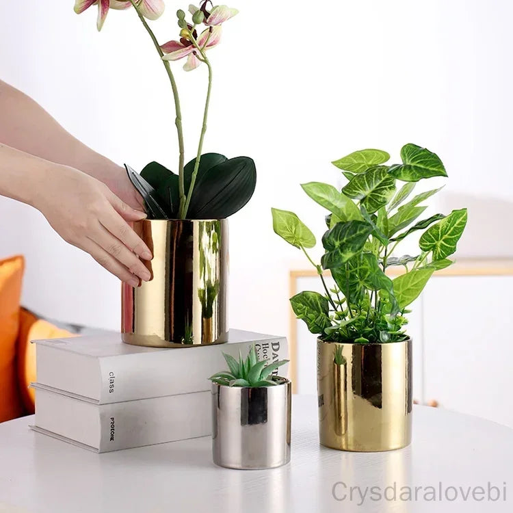 cache pot céramique finition or moderne plante verte décoration intérieure brillance lisse minimaliste maison