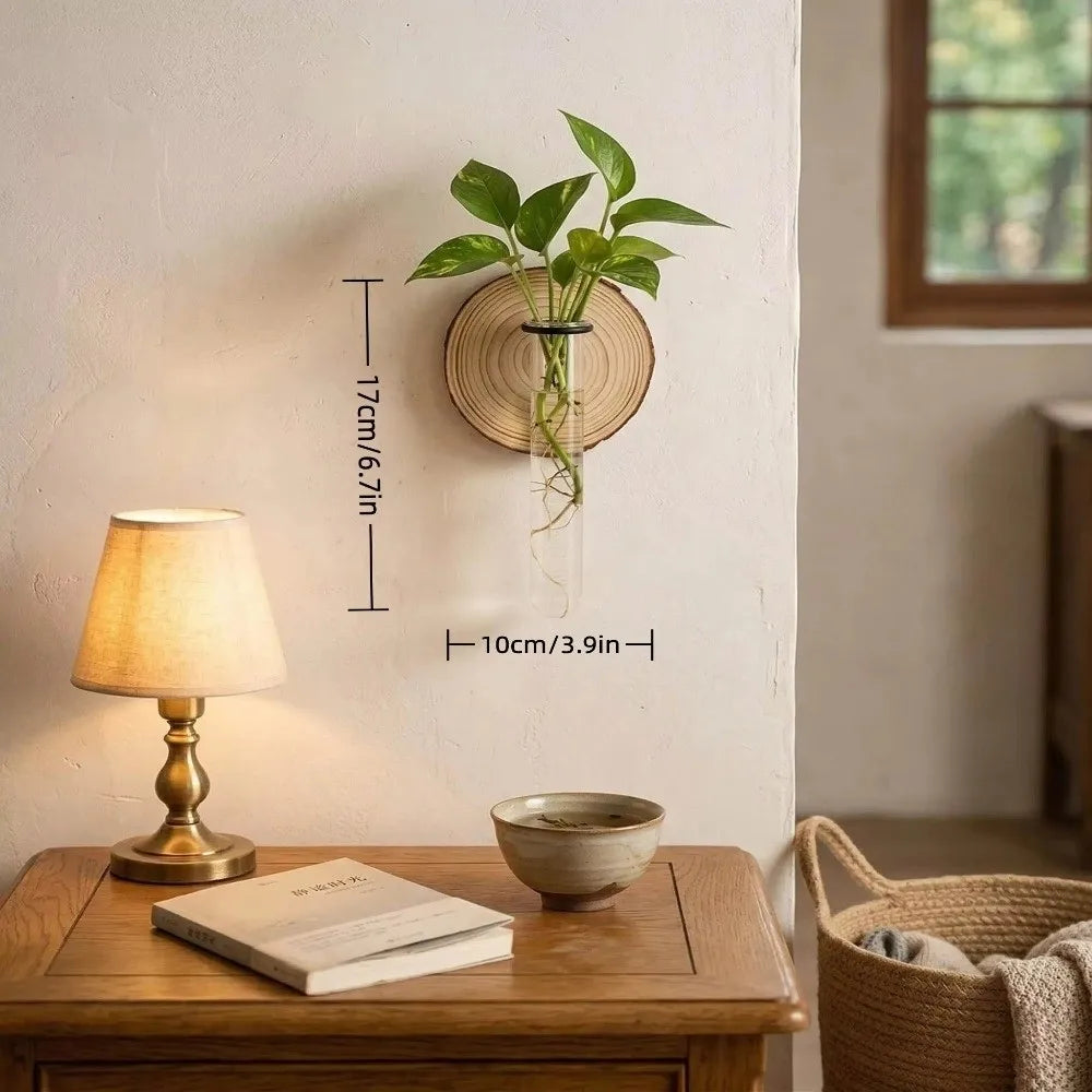 vase mural transparent moderne rustique bois décoration intérieure plantes hydroponiques