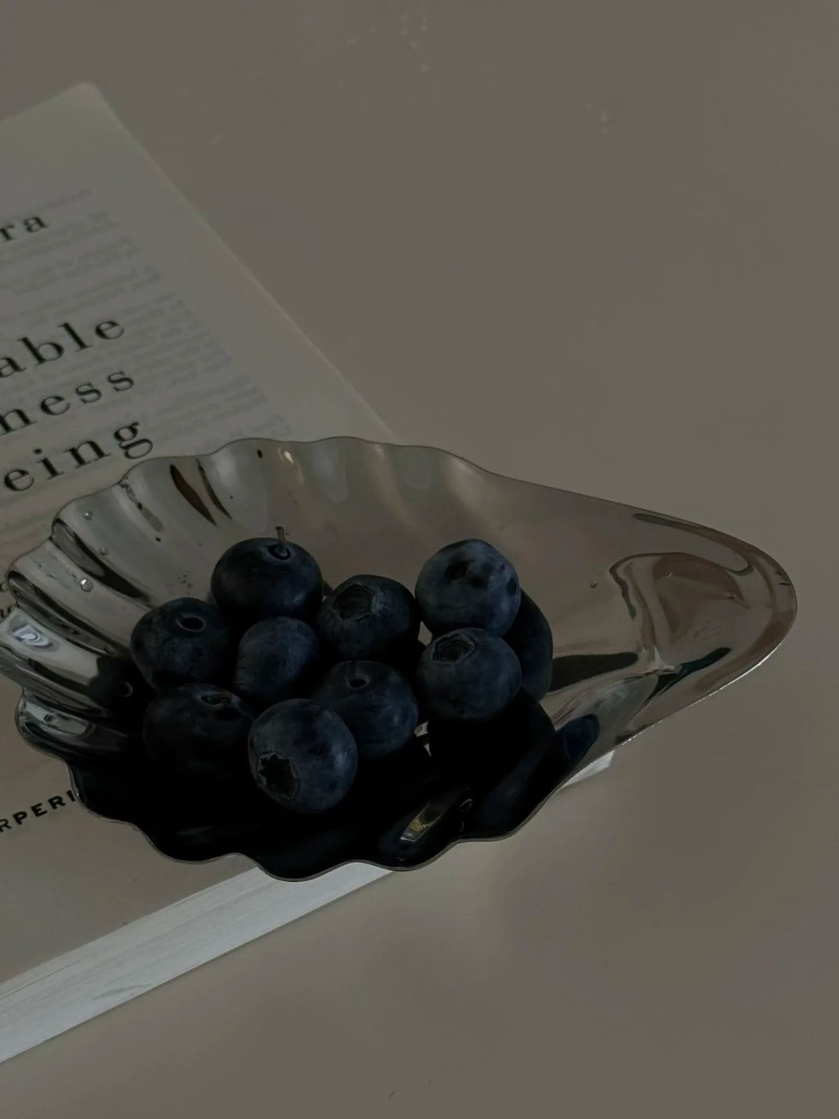 assiettes coquillages argentées rayures modernes dessert rangement bijoux plateau métal opaques
