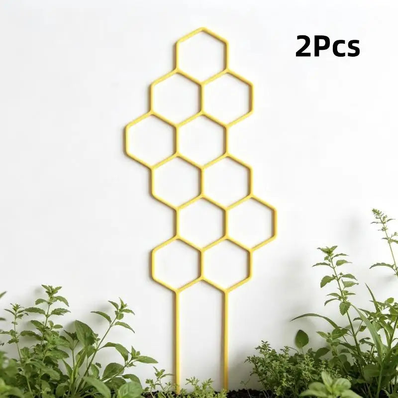 support plante hexagonnel moderne noir doré adhésif jardin intérieur extérieur geometrique