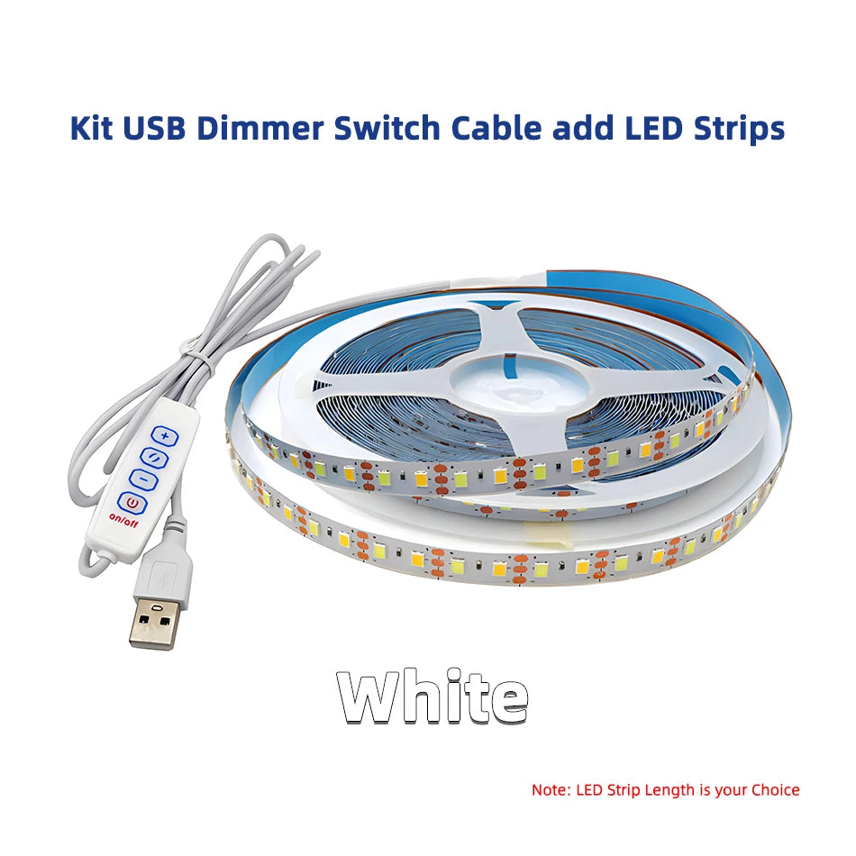 Ruban led 120 diodes metre blanc chaud froid adhésif moderne télécommande contrôleur usb