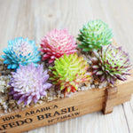 plantes succulentes artificielles décoration maison extérieur bonsaï feuilles pointues rouge vert rose bleu violet