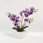 décoration murale orchidées artificielles fleurs douces moderne pot blancintérieur