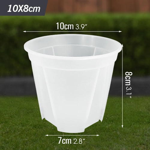 pot fleur plastique transparent semis jardinnière plante orchidée culture racine aérée