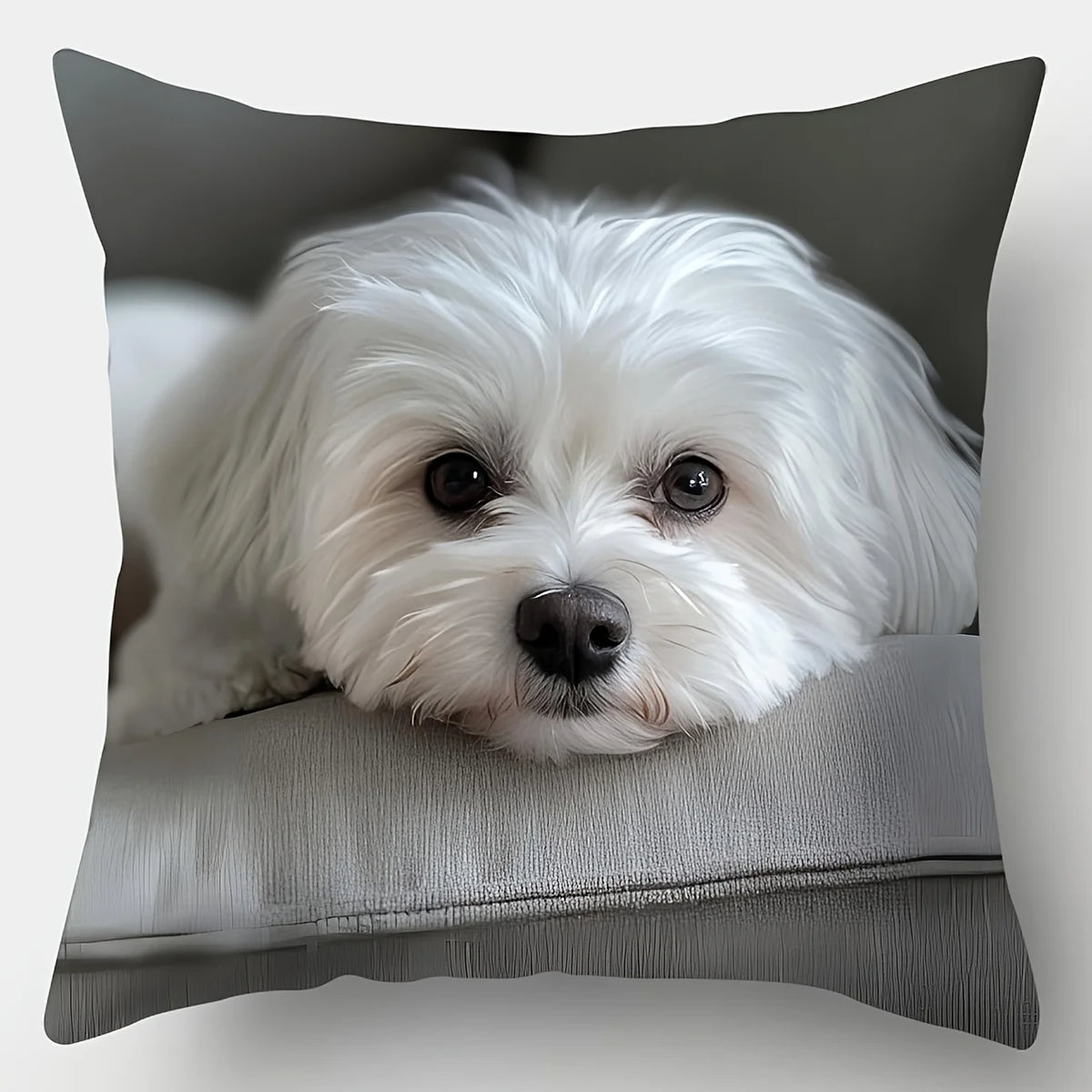 housse coussin chien blanc moderne polyester peacheskin 40x40cm 45x45cm 50x50cm 60x60cm decoration maison