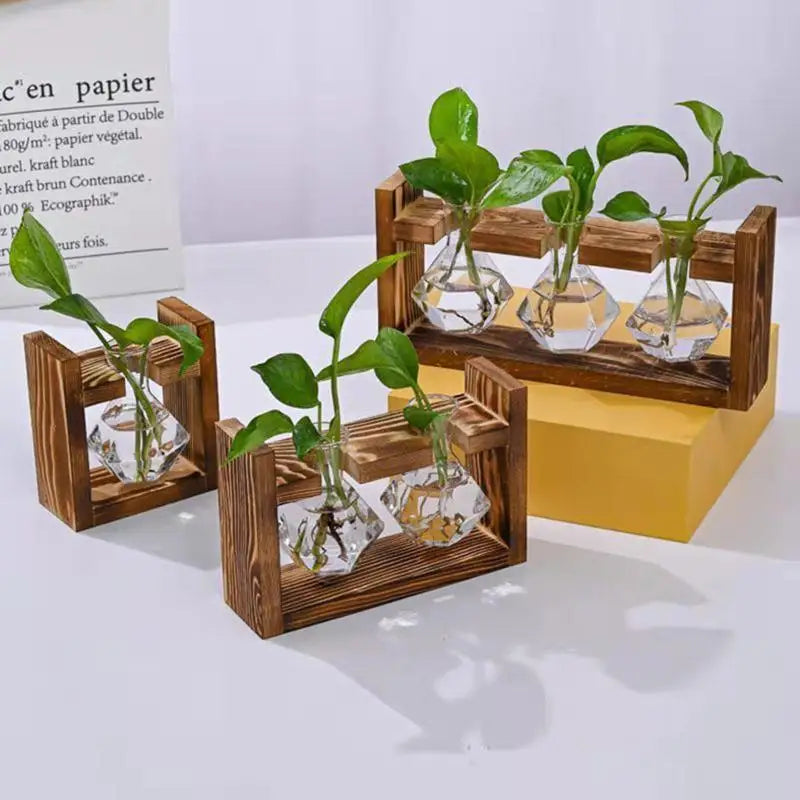 support plantes cadre bois marron verre transparent modernes vases coeurs plantes vertesintérieur décoration minimaliste
