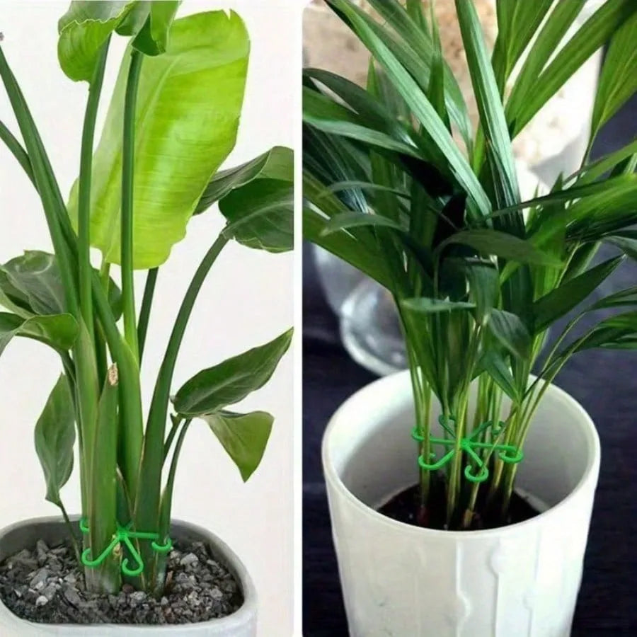 supports plantes vert moderne clips plastique autonome geometrique étoile fixations