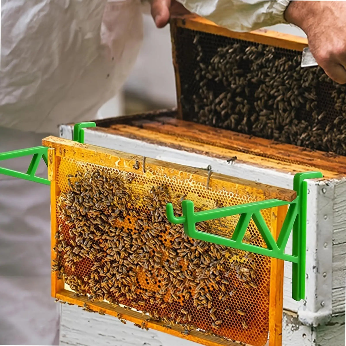 supports cadre d'apiculture vert noir clips multifonctionnels outils d'apiculture couteau grille fixations rapides