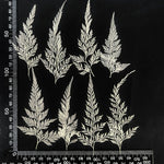 ruban décoratif feuilles fougère blanc classique décoration maison intérieur 24 pièces fleur séchée fleur