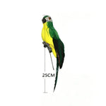 ornement jardin oiseau artificiel rouge bleu vert rose jaune blanc plumes yeux brillants clipsextérieur