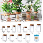 Pot plante hydroponique transparent moderne minimaliste 8cm 10cm 12cm 15cm 20cm