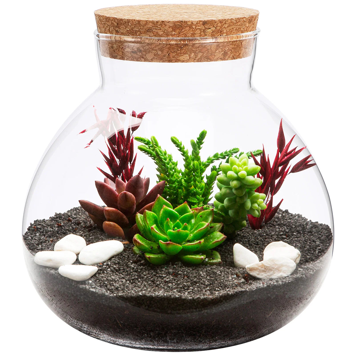 Terrarium en verre transparent rouge sur un bureau moderne