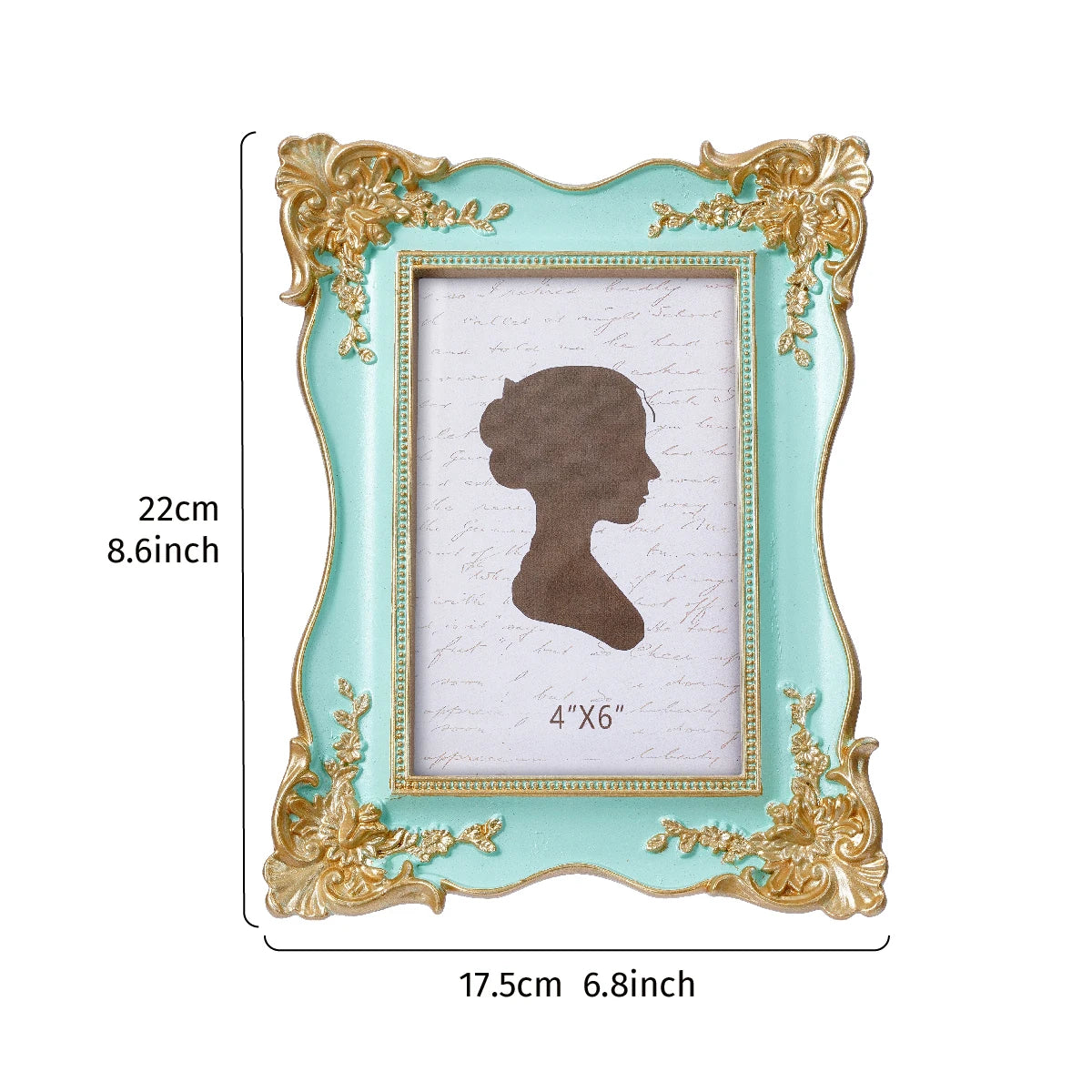 cadre photo vintage rococó floral relief rose or élégant maison