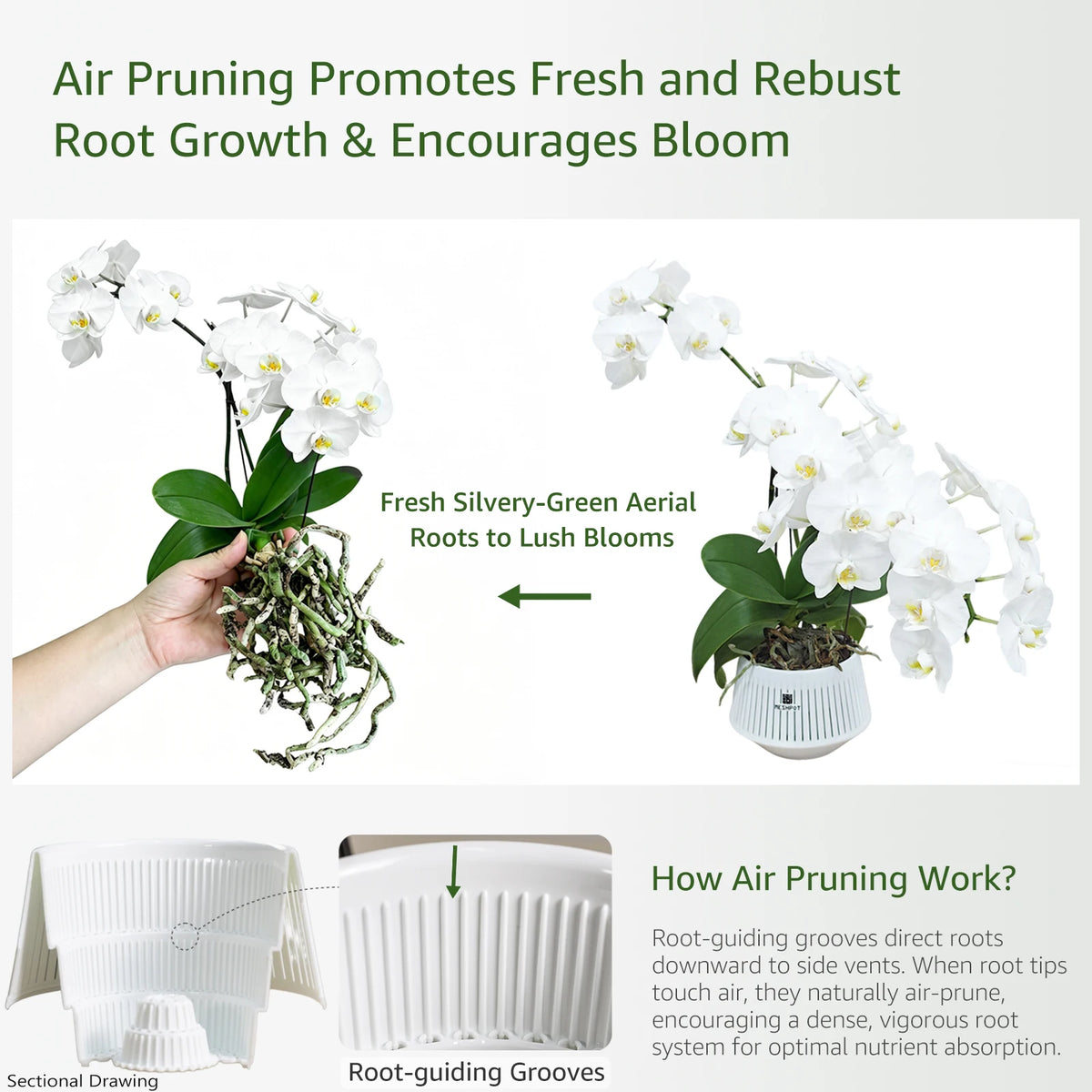 pots orchidées blancs moderne ventilation aération plateaux intérieurs extérieurs
