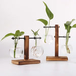 vases verre transparents plantes vertes support bois industriel décoration minimaliste