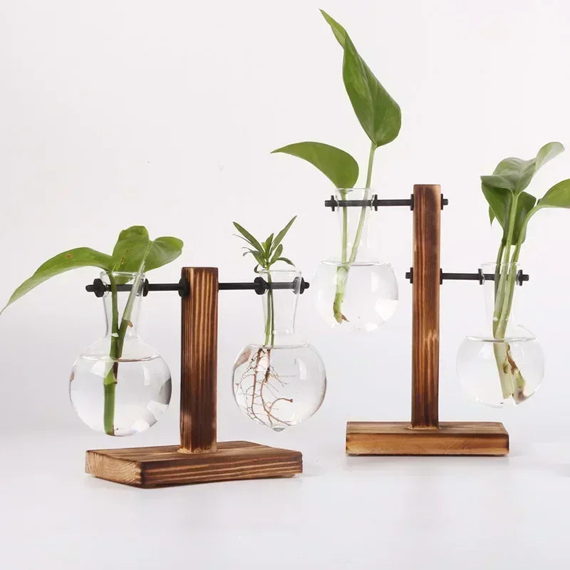 vases verre transparents plantes vertes support bois industriel décoration minimaliste