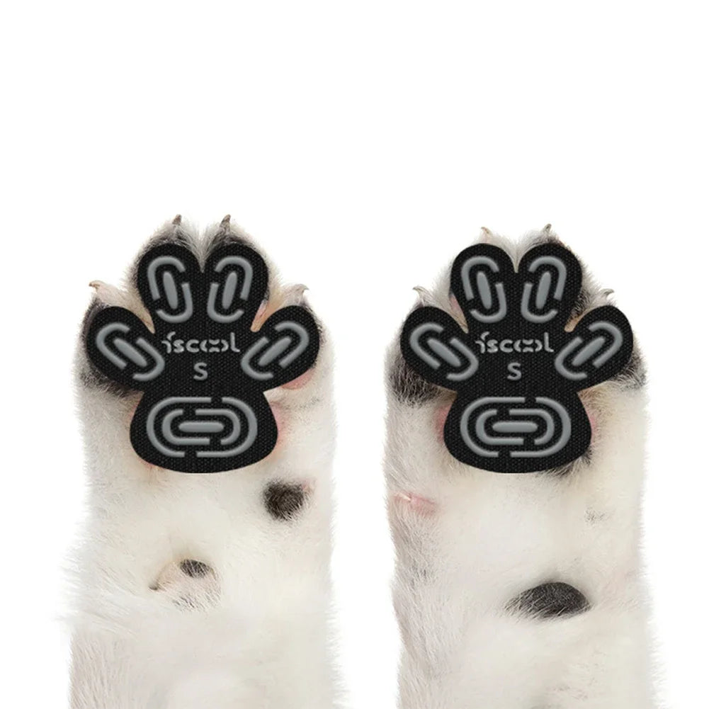protège pattes chiens adhésifs noirs motifs modernes taille xl 2xl