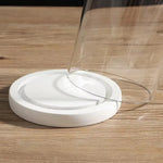 cloches verre transparentes moderne base bois blanc antipoussiere boite exposition 20cm diametre