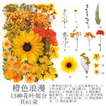 fleurs séchées multicolores naturelles variées feuilles séchées décor maison artisanat enfant autocollants journal