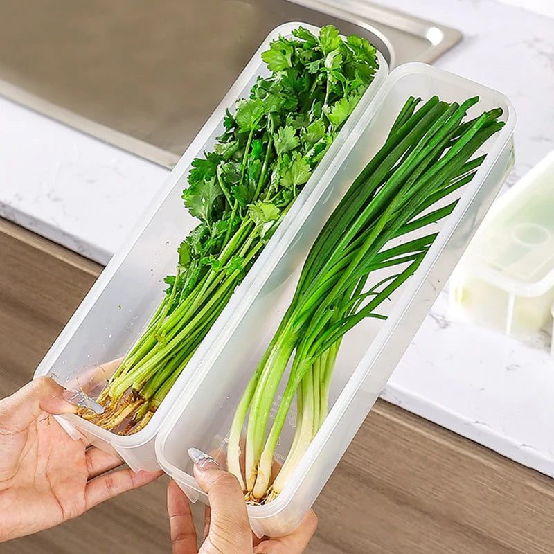 boîtes conservation légumes transparentes moderne poignées réfrigérateur organisation alimentaire PVC pratiques