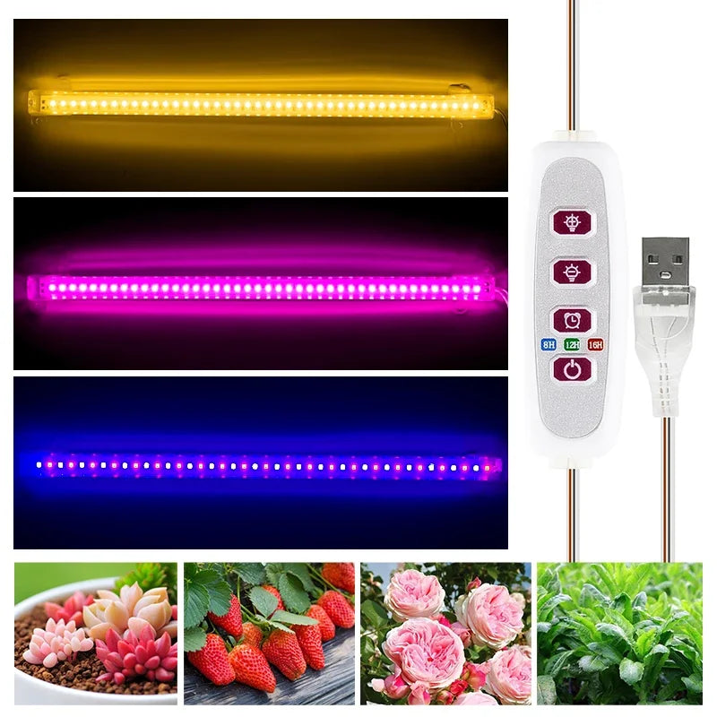 lampe led croissance plante intérieure blanche rose bleu moderne 30cm usb