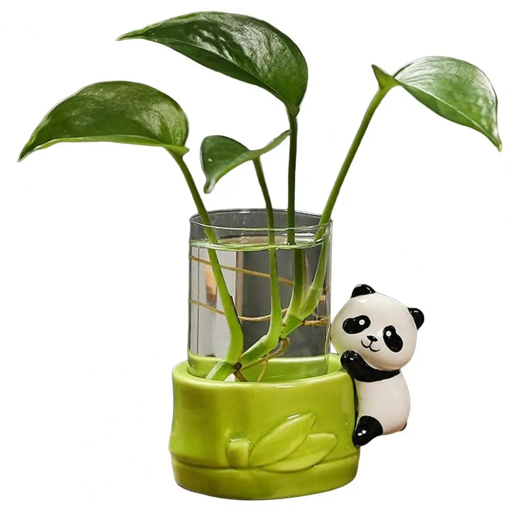 cache pot verre transparent base céramique panda lapin feuilles moderne intérieur blanc noir vert