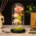 roses stabilisées bouquet guirlande lumineuse cloche verre décoration intérieure romantique anniversaire valentin engagement