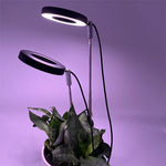 lampe led plante noire blanche réglable hauteur bouton variateur moderne minimaliste piquet câble usb