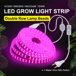ruban led croissance rose blanc points lumineux clips moderne câble interrupteur étanche 12w/m