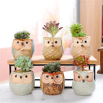 pots céramique oiseaux moderne succulentes décoration jardin vert marron bleu